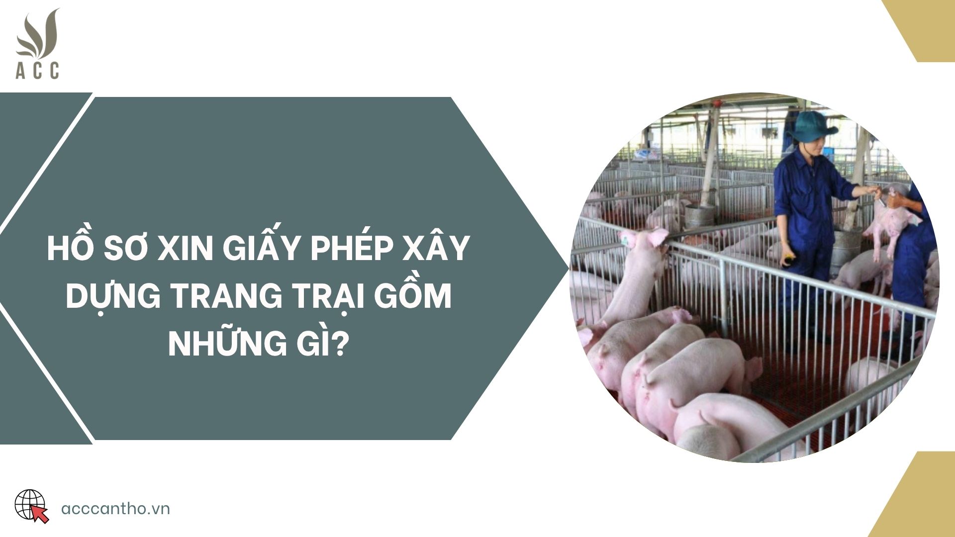Hồ sơ xin giấy phép fv88 vn trang trại gồm những gì?