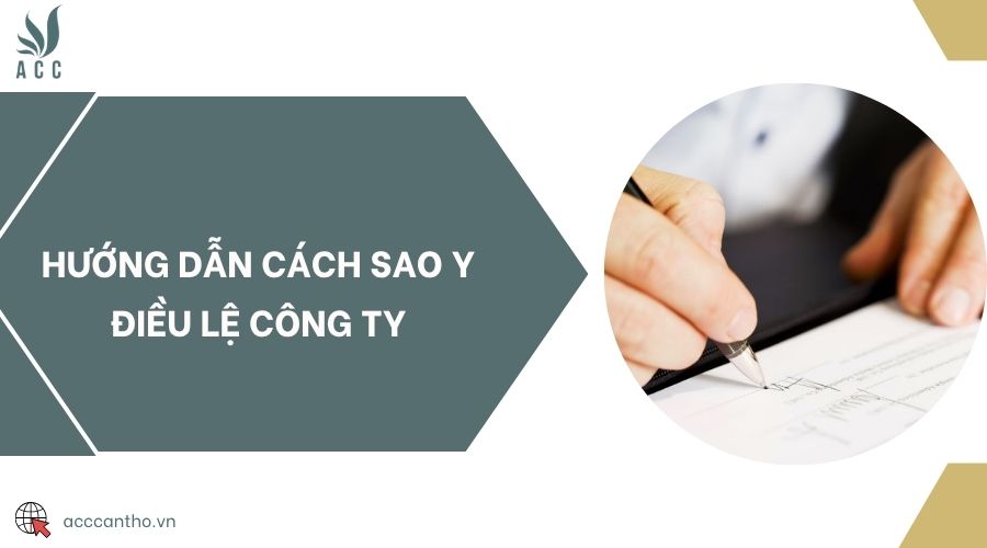Hướng dẫn cách sao y điều lệ công ty