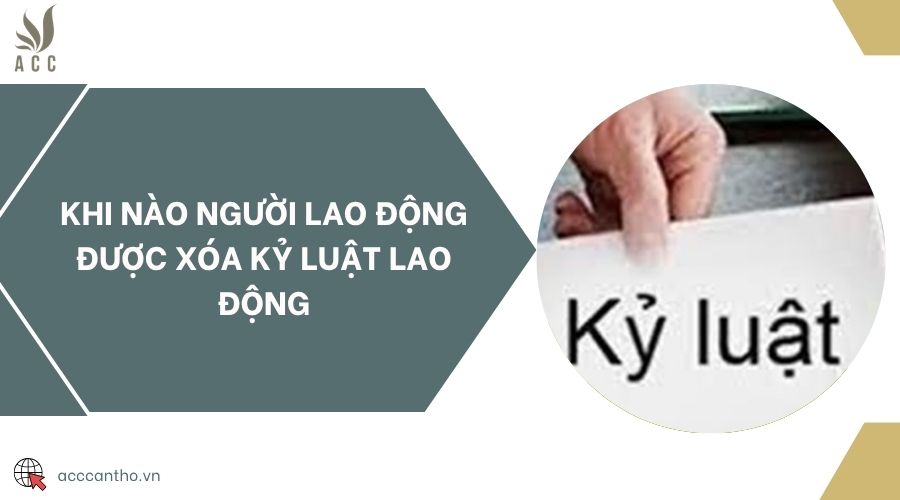 Khi nào người fv88 link được xóa kỷ luật fv88 link