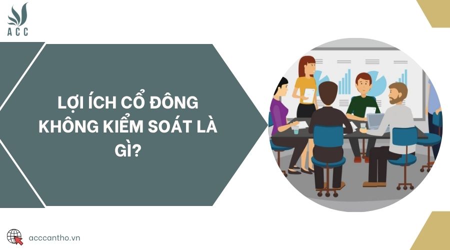 Lợi ích cổ đông không kiểm soát là gì?