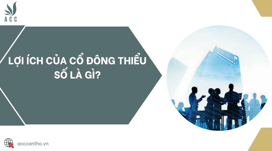 Lợi ích của cổ đông thiểu số là gì?
