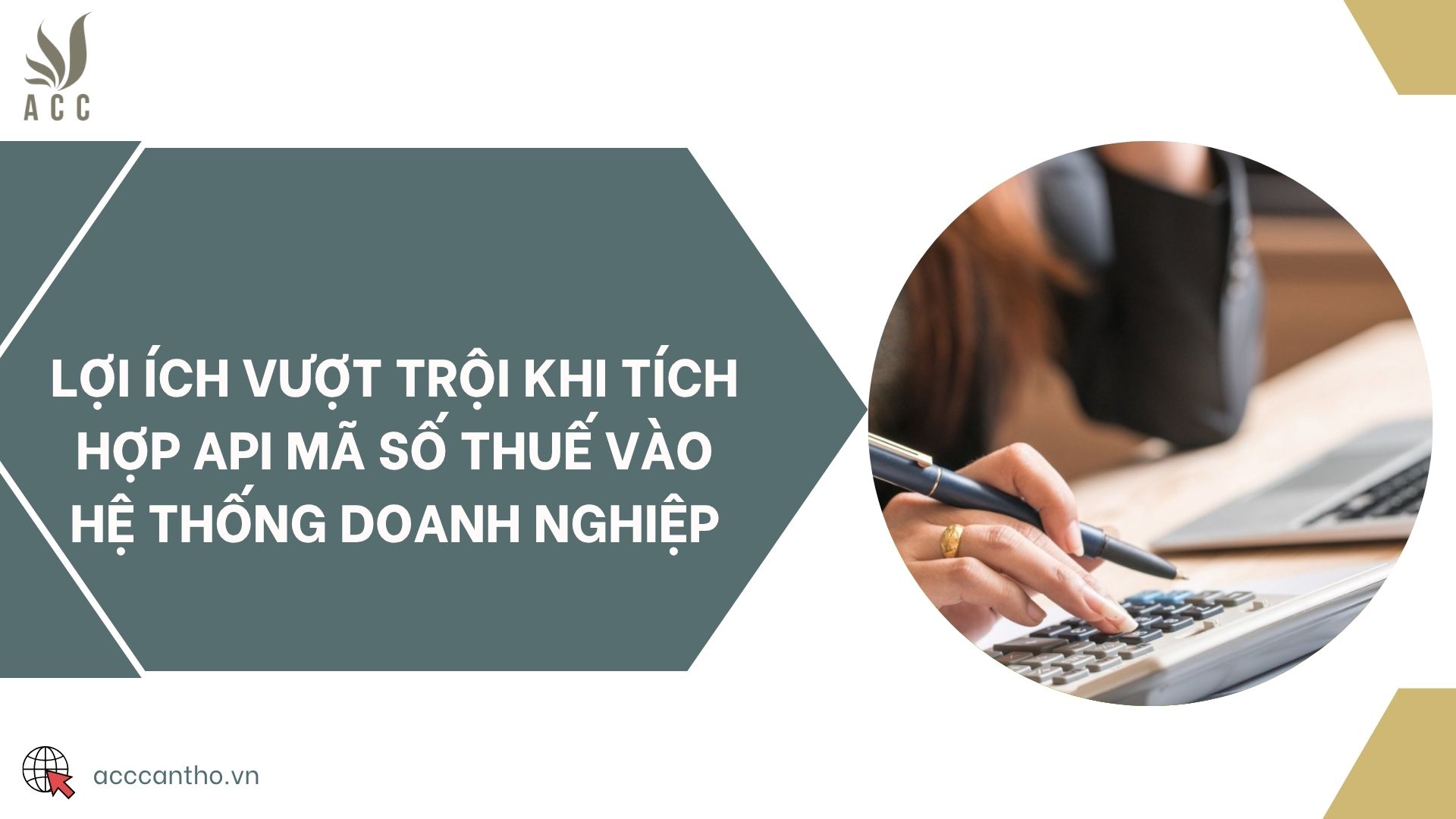 Lợi ích vượt trội khi tích hợp API mã số thuế vào hệ thống doanh nghiệp