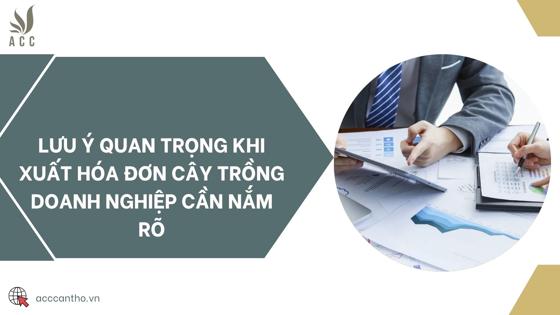 Lưu ý quan trọng khi xuất hóa đơn cây trồng doanh nghiệp cần nắm rõ