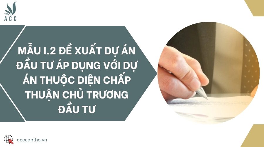 Mẫu I.2 Đề xuất dự án đầu tư áp dụng với dự án thuộc diện chấp thuận chủ trương đầu tư