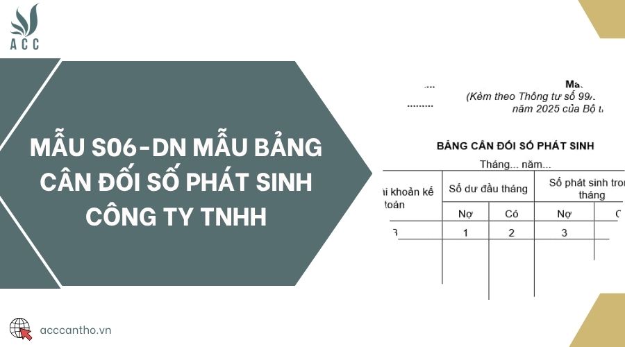 Mẫu S06-DN mẫu bảng cân đối số phát sinh công ty TNHH