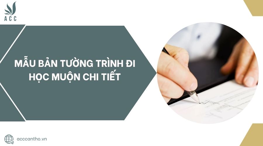Mẫu bản tường trình đi học muộn chi tiết