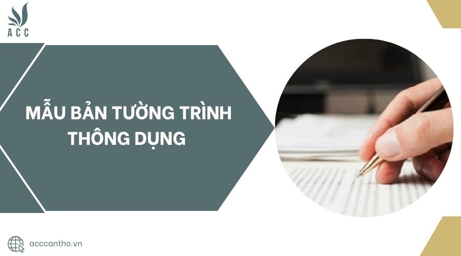 Mẫu bản tường trình thông dụng