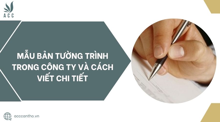 Mẫu bản tường trình trong công ty và cách viết chi tiết
