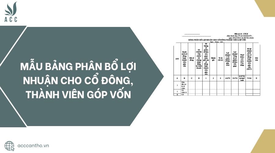 Mẫu bảng phân bổ lợi nhuận cho cổ đông, thành viên góp vốn