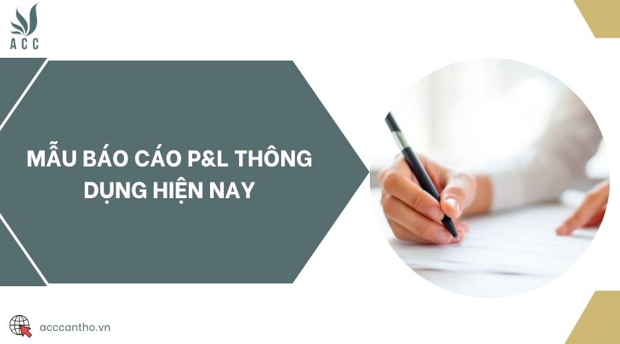 Mẫu báo cáo P&L thông dụng hiện nay