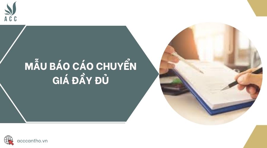 Mẫu báo cáo chuyển giá đầy đủ