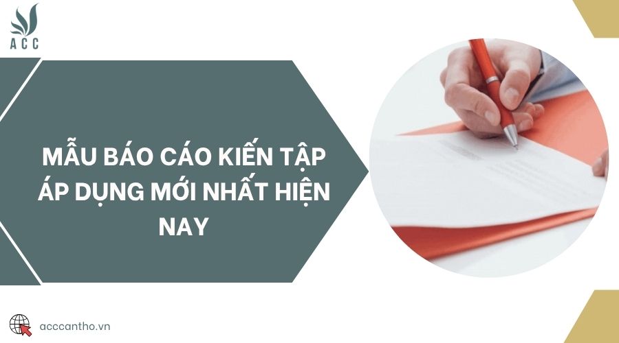 Mẫu báo cáo kiến tập áp dụng mới nhất hiện nay