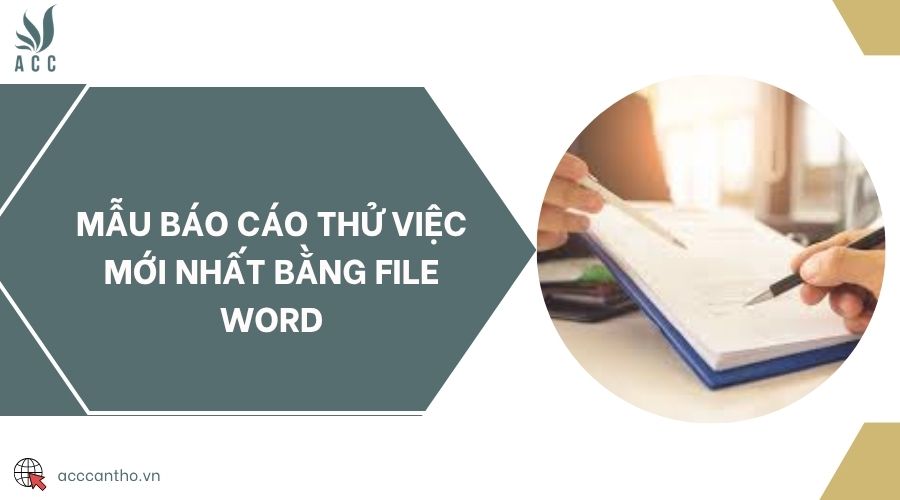 Mẫu báo cáo thử việc mới nhất bằng File Word
