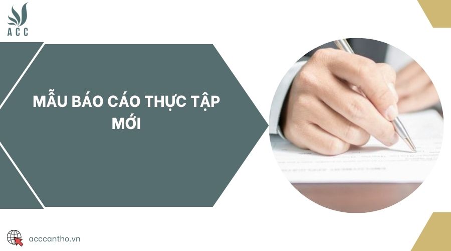 Mẫu báo cáo thực tập mới