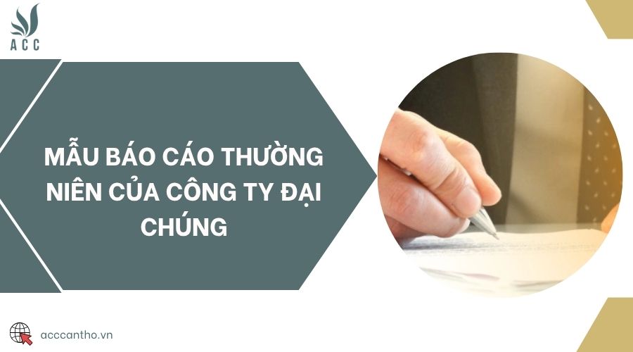 Mẫu báo cáo thường niên của công ty đại chúng