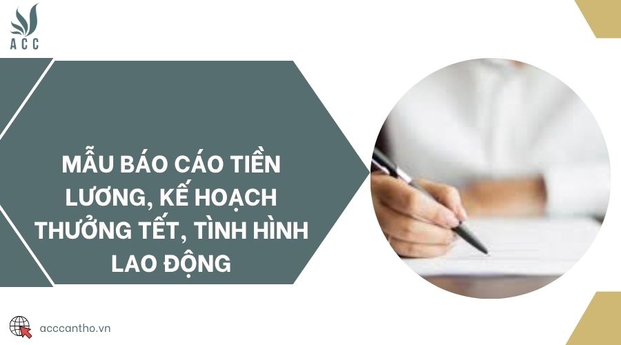 Mẫu báo cáo tiền lương, kế hoạch thưởng Tết, tình hình fv88 link