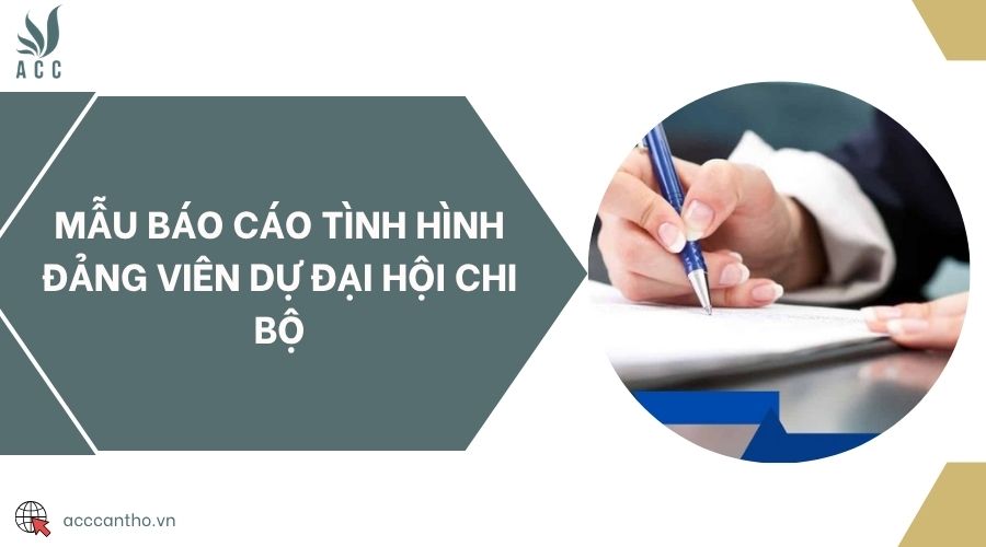 Mẫu báo cáo tình hình đảng viên dự đại hội chi bộ