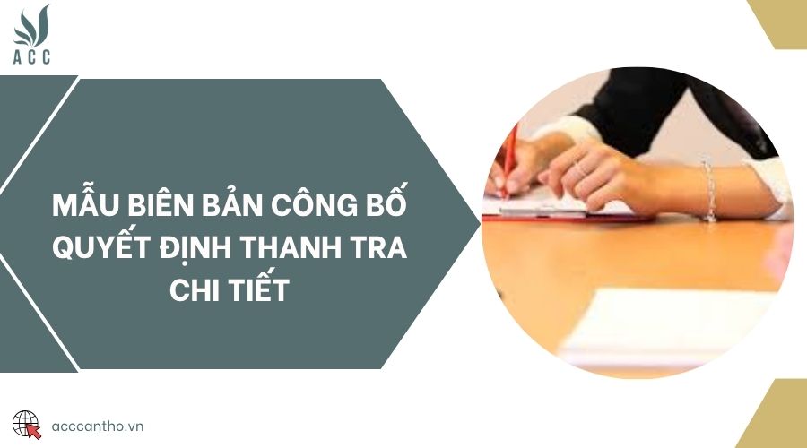 Mẫu biên bản công bố quyết định thanh tra chi tiết
