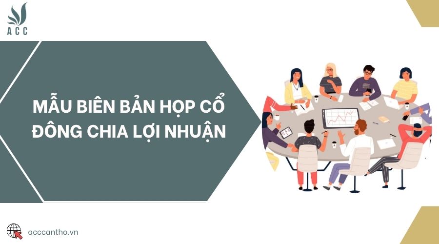 Mẫu biên bản họp cổ đông chia lợi nhuận