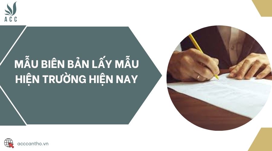 Mẫu biên bản lấy mẫu hiện trường hiện nay