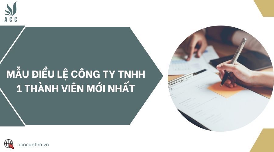 Mẫu điều lệ công ty TNHH 1 thành viên mới nhất