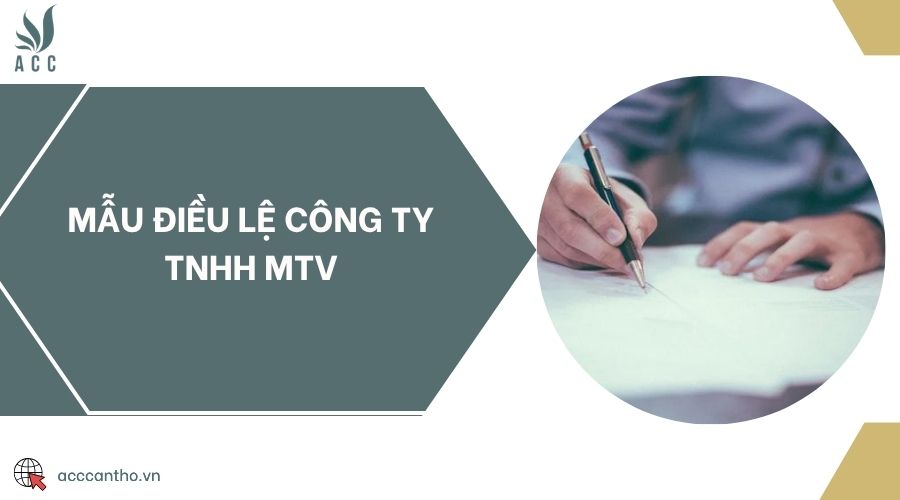 Mẫu điều lệ công ty TNHH mtv
