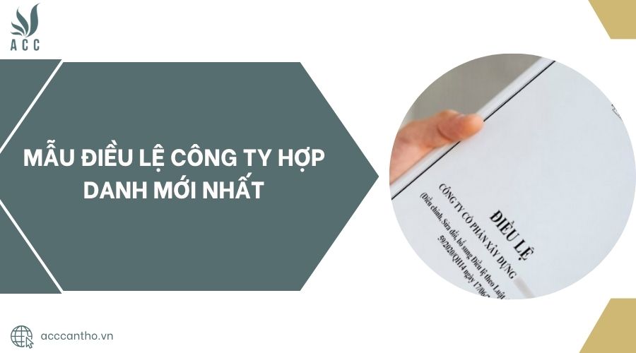 Mẫu điều lệ công ty hợp danh mới nhất