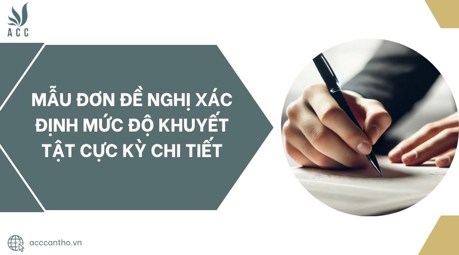 Mẫu đơn đề nghị xác định mức độ khuyết tật cực kỳ chi tiết