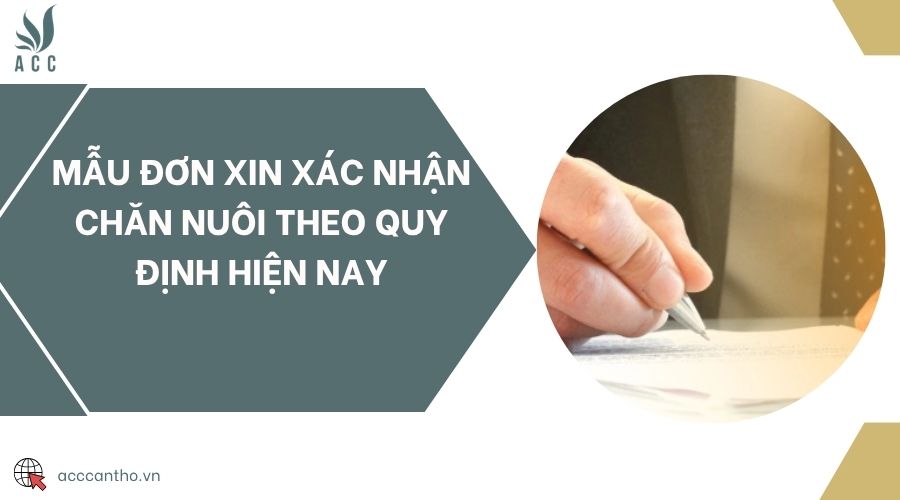 Mẫu đơn xin xác nhận chăn nuôi theo quy định hiện nay