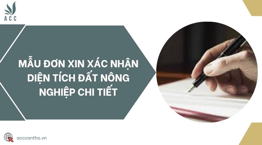 Mẫu đơn xin xác nhận diện tích đất nông nghiệp chi tiết