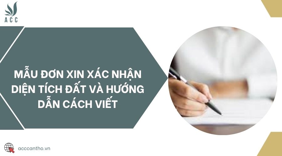 Mẫu đơn xin xác nhận diện tích đất và hướng dẫn cách viết