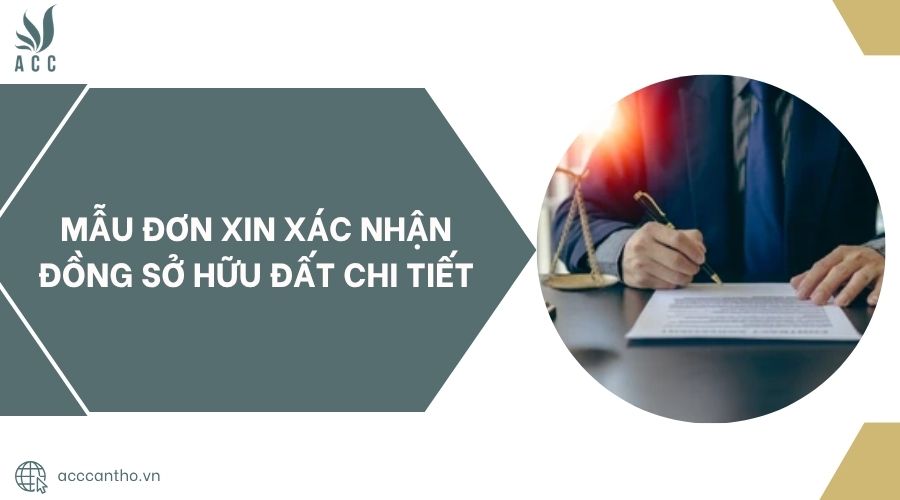Mẫu đơn xin xác nhận đồng sở hữu đất chi tiết