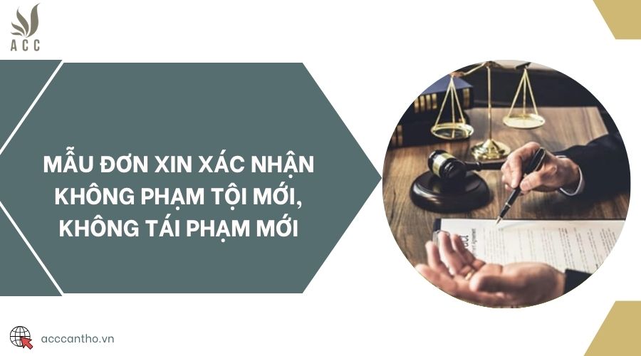 Mẫu đơn xin xác nhận không phạm tội mới, không tái phạm mới