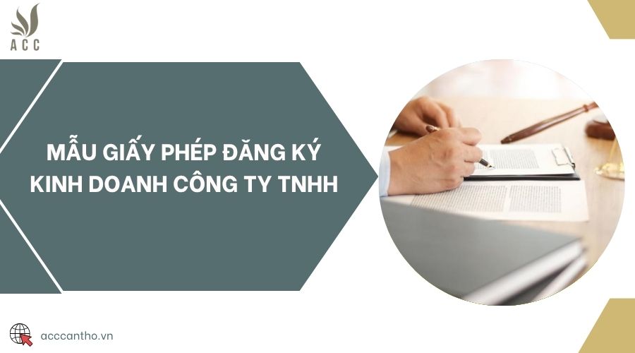Mẫu giấy phép đăng ký fv888 công ty TNHH