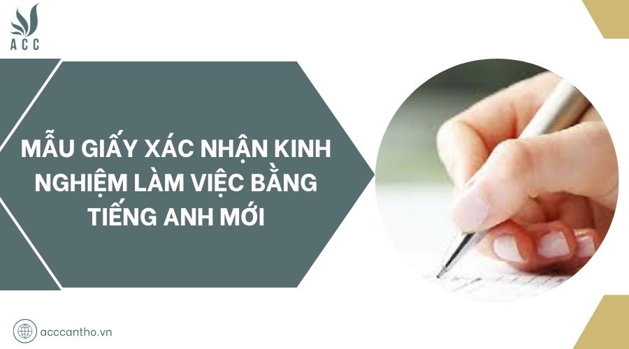 Mẫu giấy xác nhận kinh nghiệm làm việc bằng tiếng Anh mới
