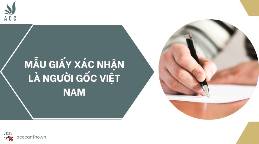 Mẫu giấy xác nhận là người gốc Việt Nam