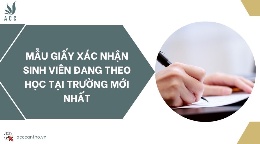 Mẫu giấy xác nhận sinh viên đang theo học tại trường mới nhất