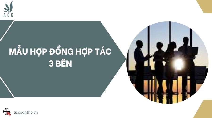 Mẫu hợp đồng hợp tác 3 bên