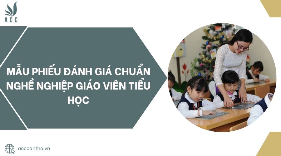 Mẫu phiếu đánh giá chuẩn fv888 giáo viên Tiểu học