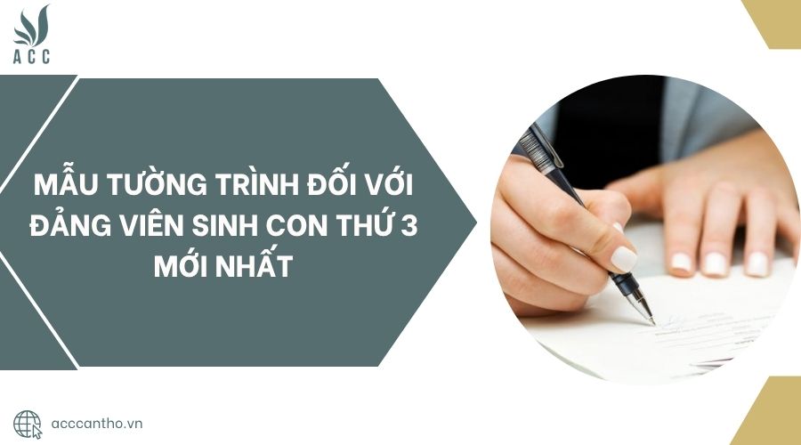 Mẫu tường trình đối với Đảng viên sinh con thứ 3 mới nhất