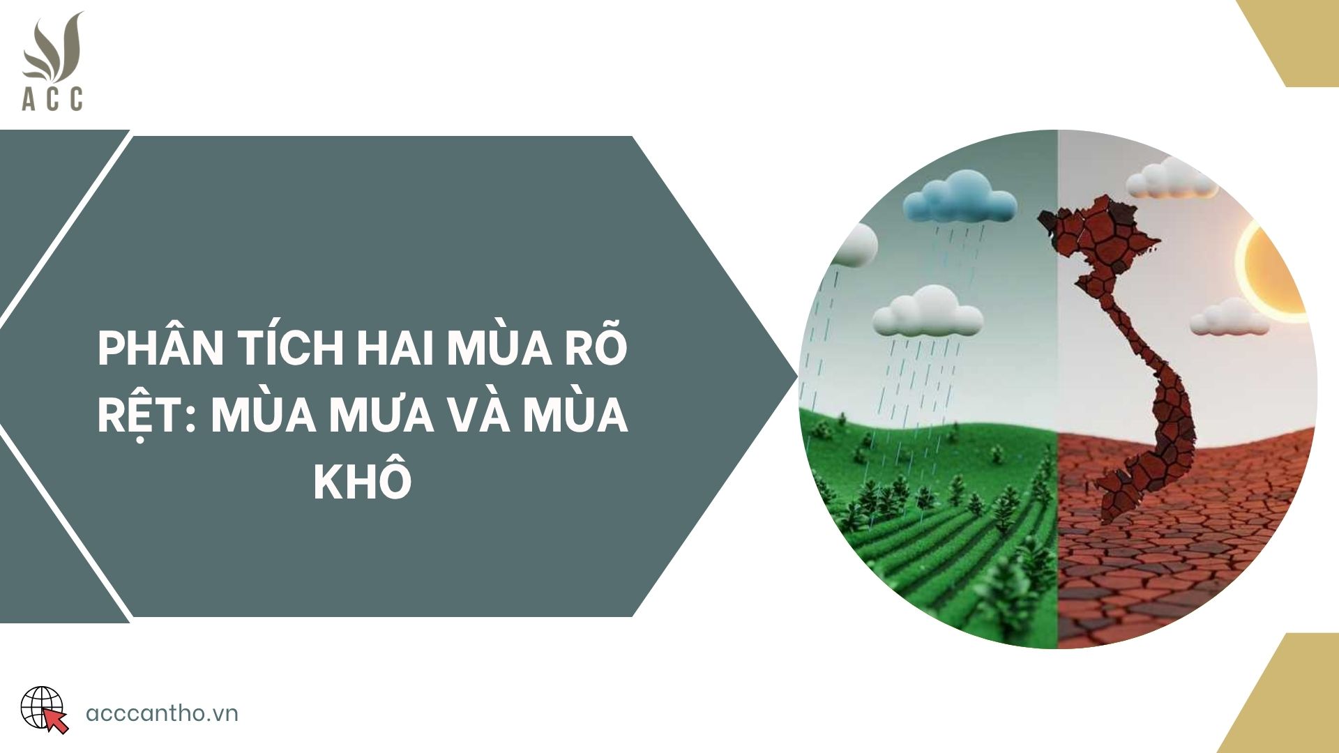 Phân tích hai mùa rõ rệt: Mùa mưa và Mùa khô