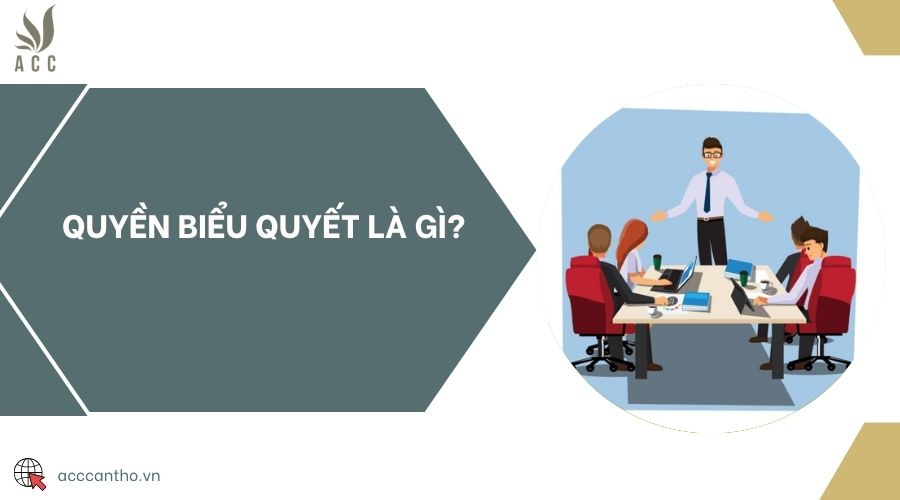 Quyền biểu quyết là gì?
