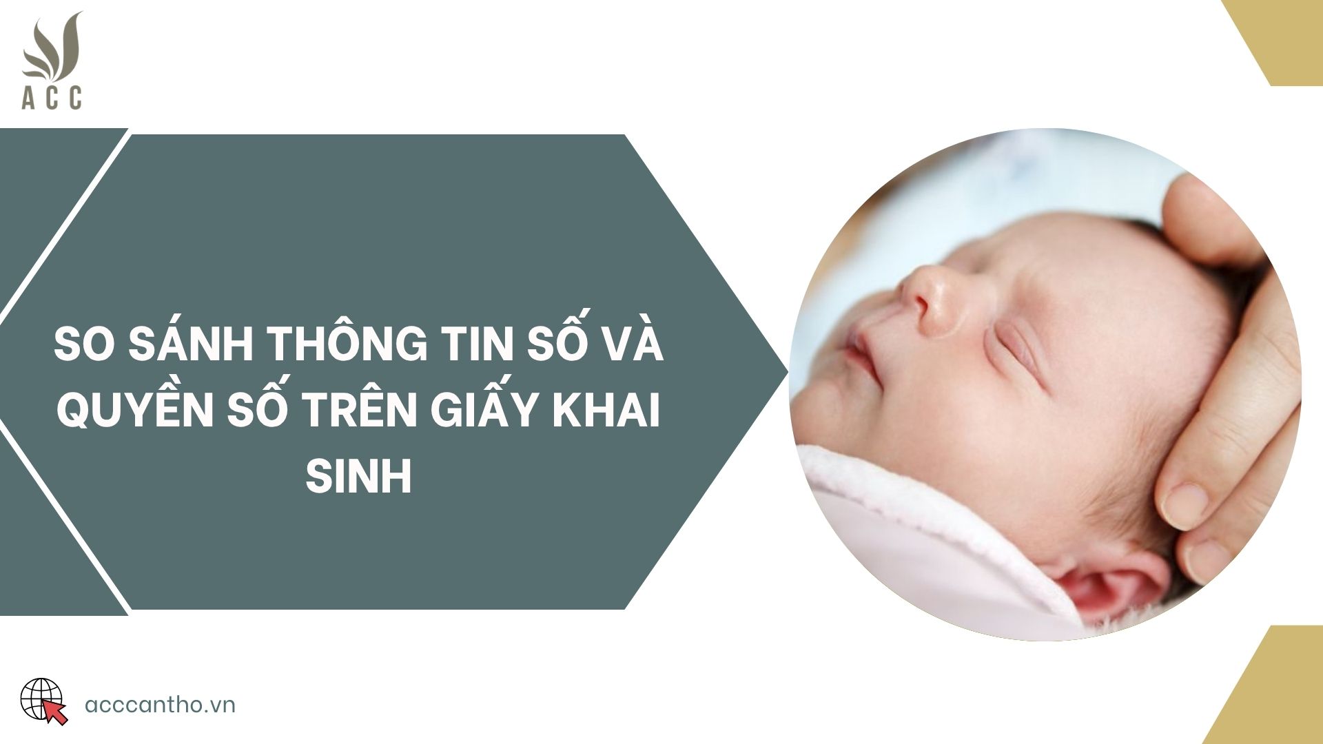 So sánh Thông tin số và Quyền số trên Giấy khai sinh