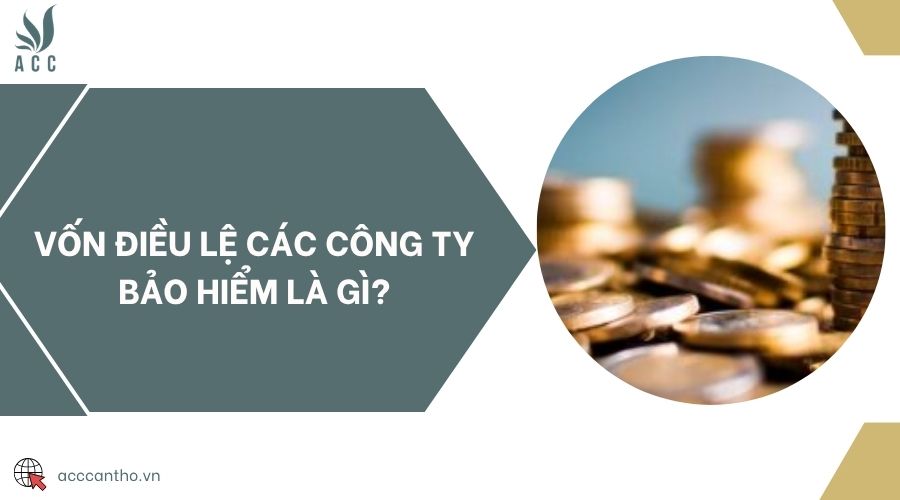 Vốn điều lệ các công ty bảo hiểm là gì?