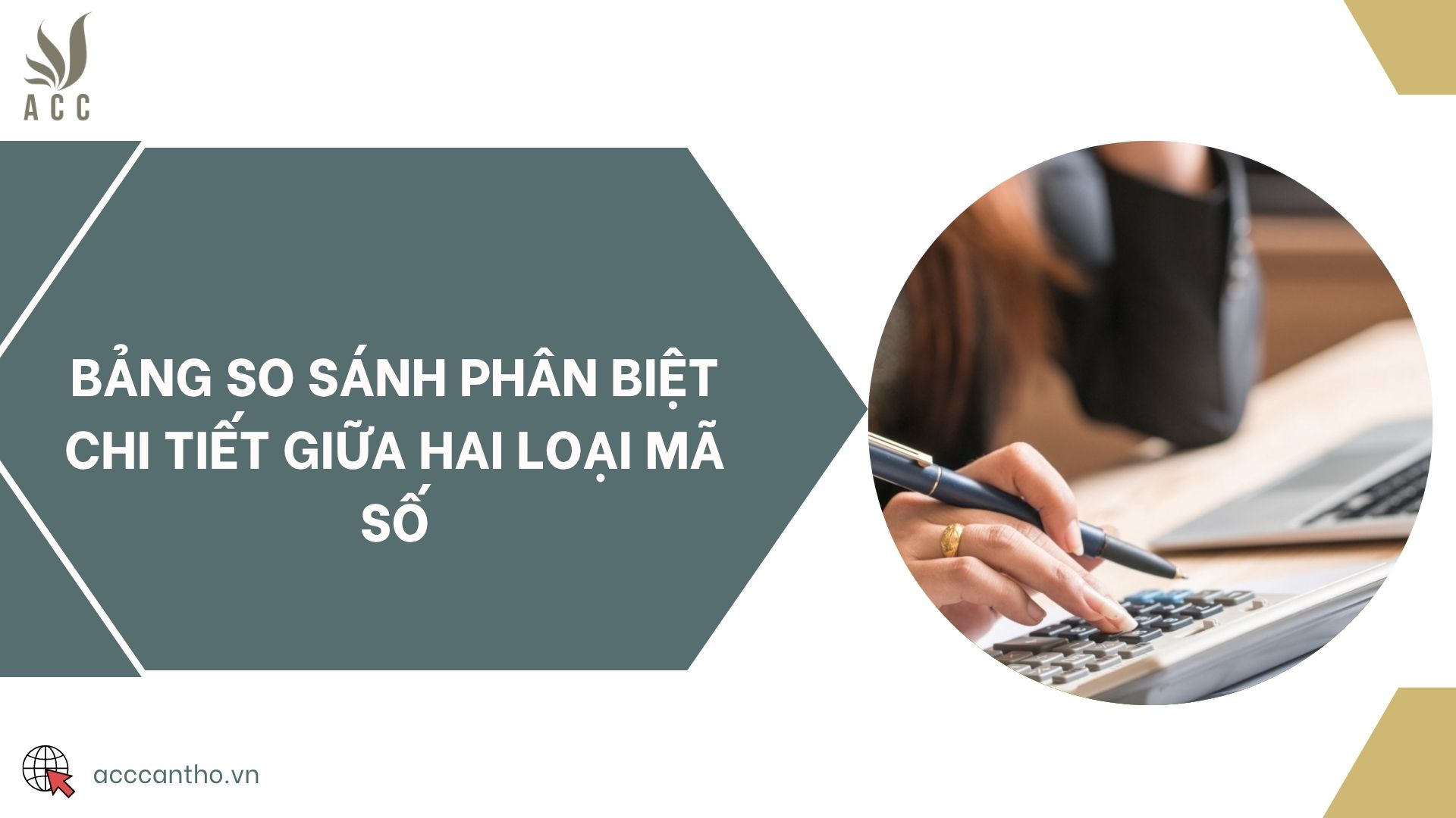 Bảng so sánh phân biệt chi tiết giữa hai loại mã số