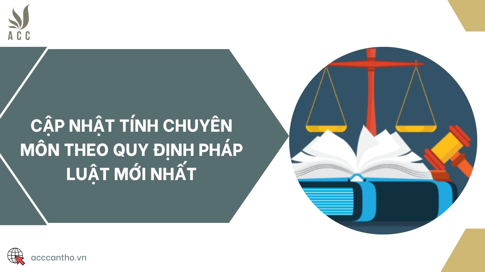 Cập nhật tính chuyên môn theo quy định pháp luật mới nhất