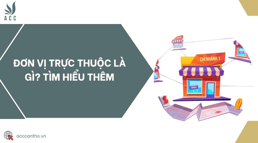 Đơn vị trực thuộc là gì? fv88 vn