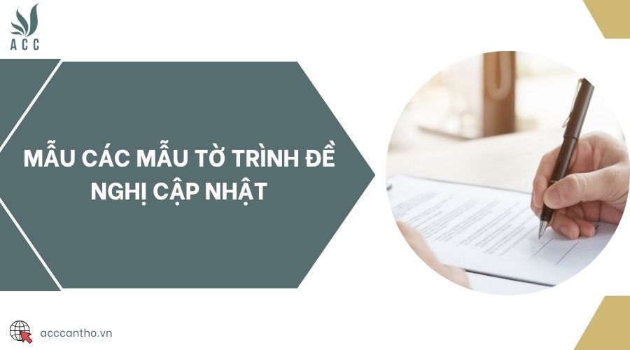 Mẫu các mẫu tờ trình đề nghị cập nhật