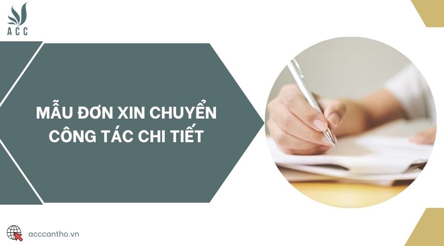 Mẫu đơn xin chuyển công tác chi tiết