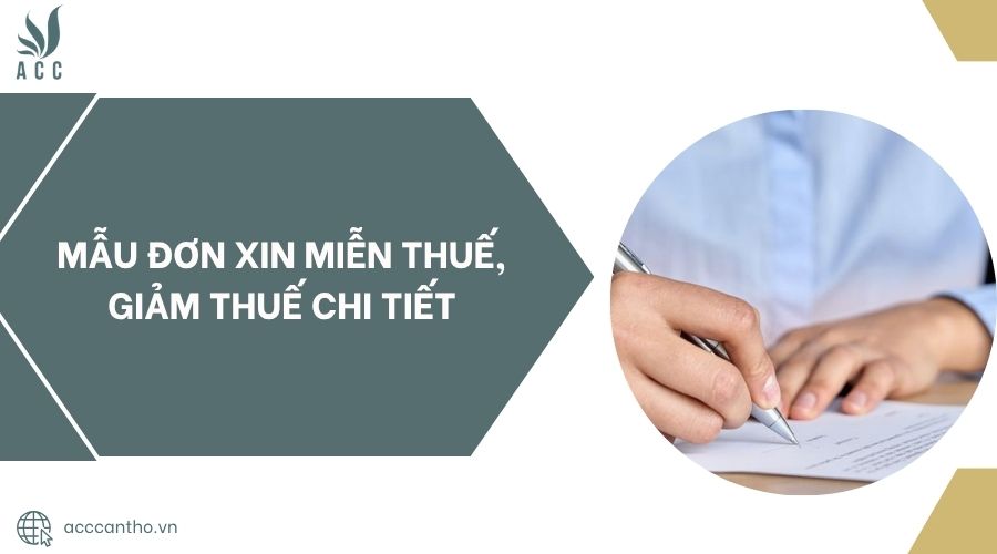 Mẫu đơn xin miễn thuế, giảm thuế chi tiết